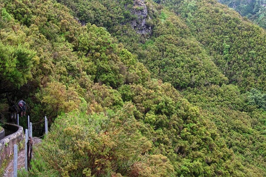Madeira Walks - Rabaçal and the 25 Fountains - Guide quality: why people keep praising Nuno, Diego, and Marta