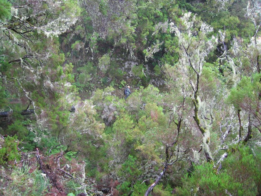 Madeira Walks - Rabaçal and the 25 Fountains - Pace and terrain: who this hike fits best
