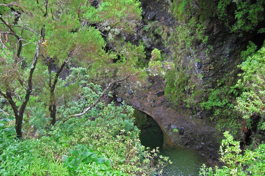 Madeira Walks - Rabaçal and the 25 Fountains - Price and value: is $50 worth an 8-hour day?