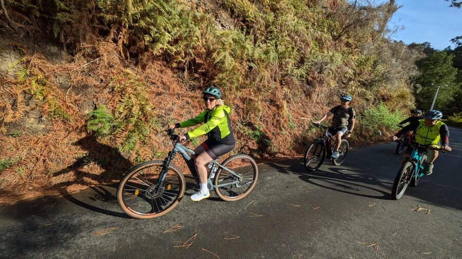 Madeira West coast: Guided Sightseeing E-Bike Tour - Past farmer houses and old irrigation systems