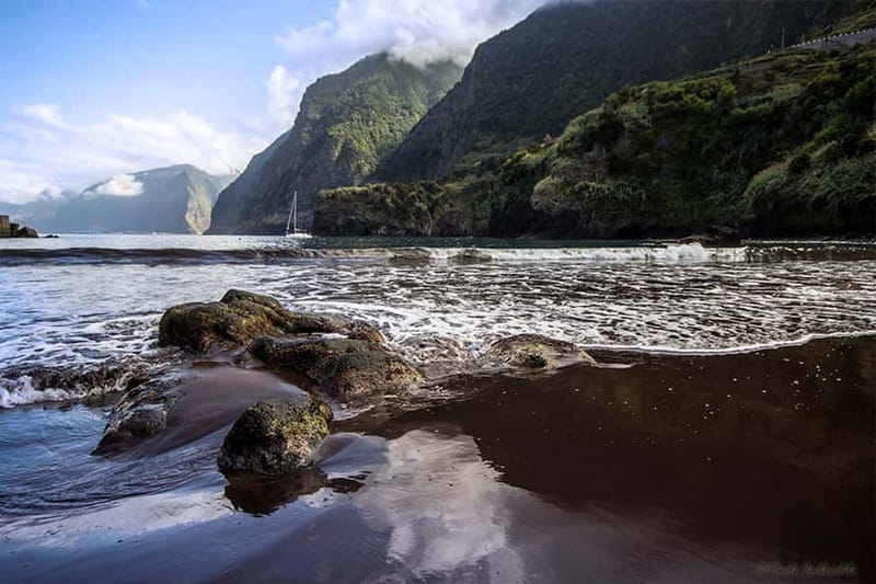 Madeira West Island Full-Day Tour with Fanal Forest - First, the vibe: west Madeira in one long, scenic loop