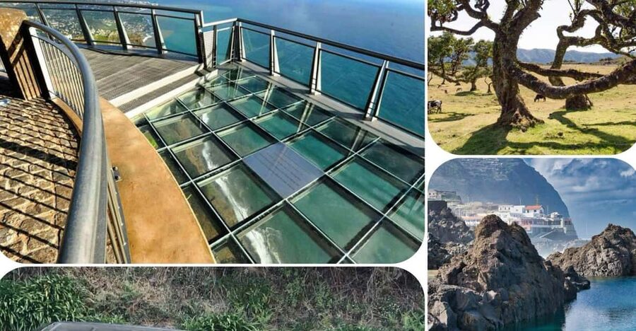 Madeira: West Tour With Guide Fanal Forest SykWalkExperience - Key things I’d plan around
