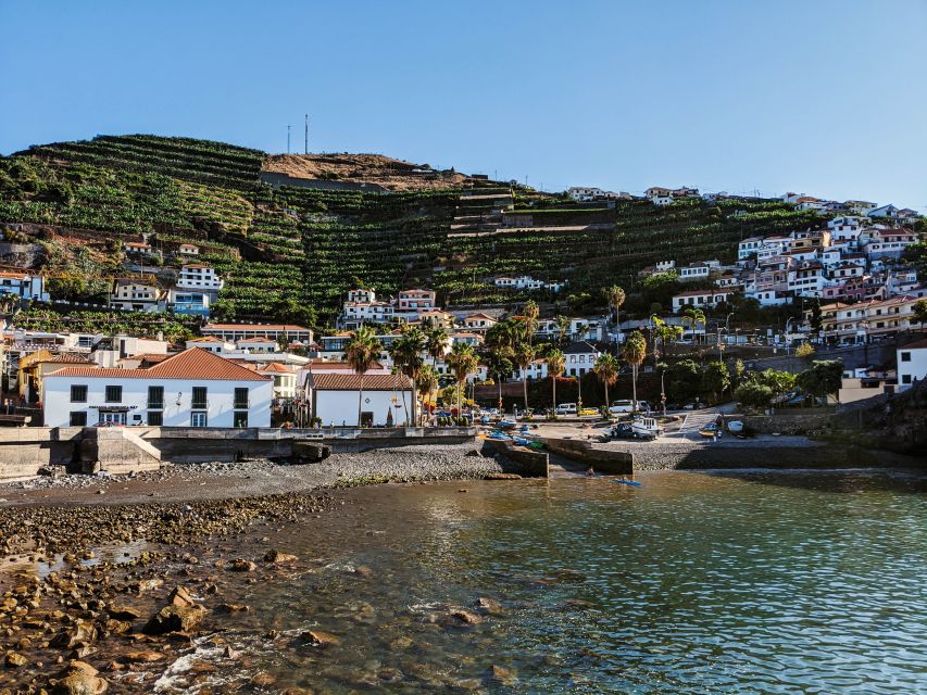 Madeira: Western Madeira Guided Trip & Fanal Mystic Forest - Fanal Forest and the Laurissilva UNESCO Walk You Can Feel