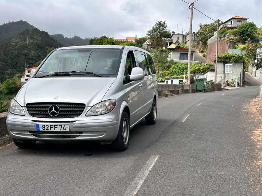 Madeira: Western Madeira Guided Trip & Fanal Mystic Forest - Guides, Timing, and Why the Pace Feels Fair