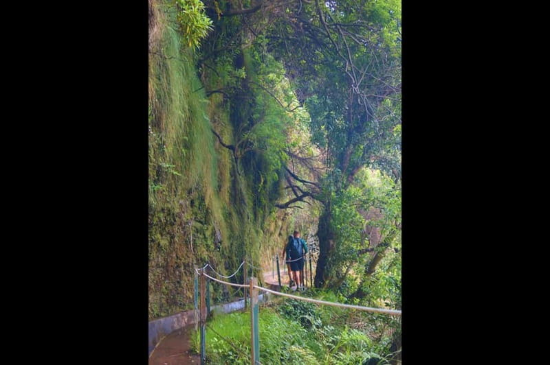 Madeira: Wet your hair in the amazing Levada Nova / Moinhos - Who should book the Levada Nova / Moinhos tour
