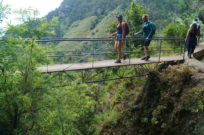 Madeira: Wet your hair in the amazing Levada Nova / Moinhos - Pickup timing and transfers: how the day starts in the right mood