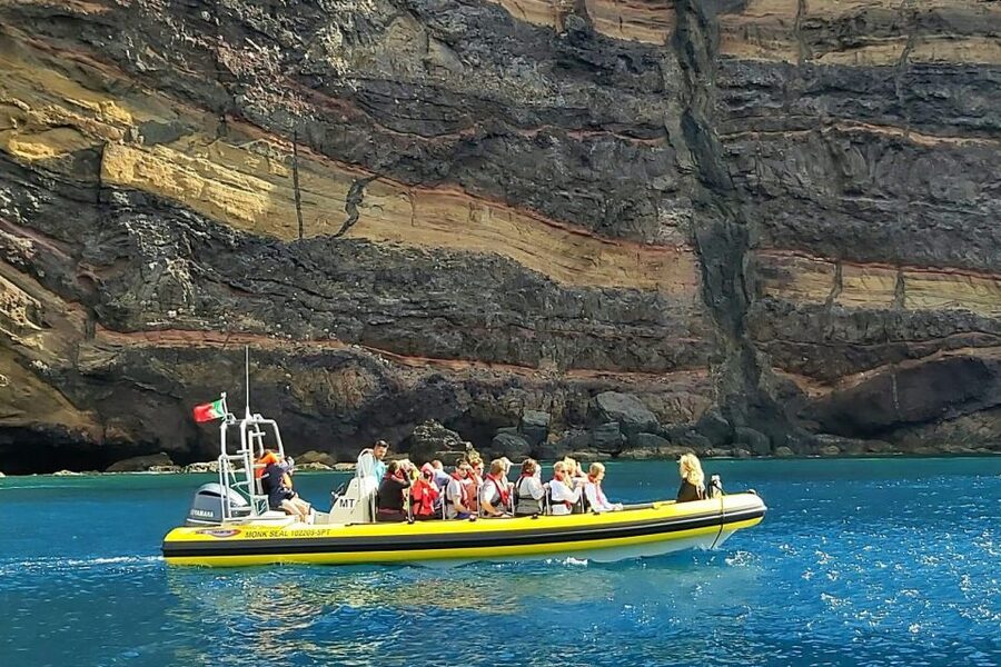 Madeira: Whale and Dolphin Watching Tour - Who this tour suits best (and who should skip it)