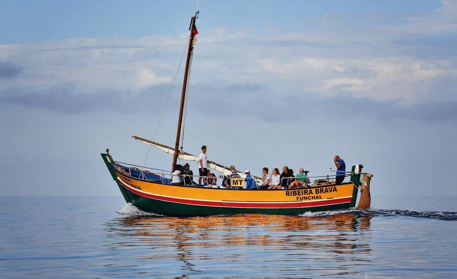 Madeira: Whale Watching Excursion in a Traditional Vessel - Price and value: is $53 per person worth it
