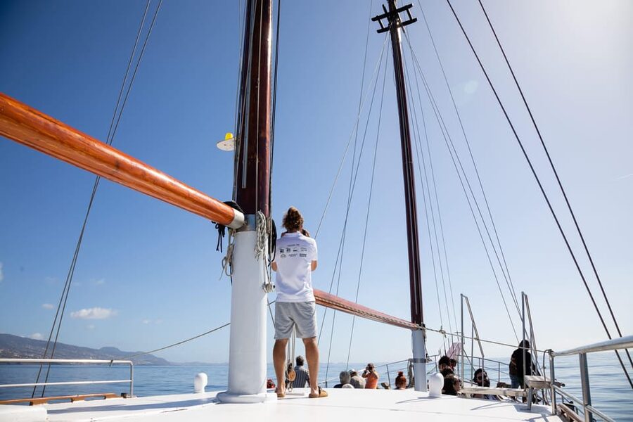 Madeira : Whales and Dolphins wooden boat excursion - Price and Value: What You’re Really Paying for at About $41