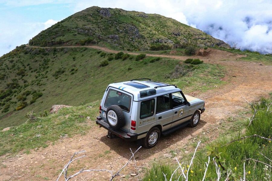 Madeira Wild West 4X4 Tour Safari - Fanal Forest: old trees, slow time, and optional wandering
