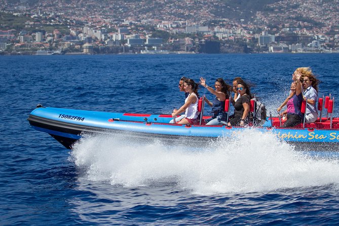 Magic Dolphin Sea Safaris - Key highlights to know before you go