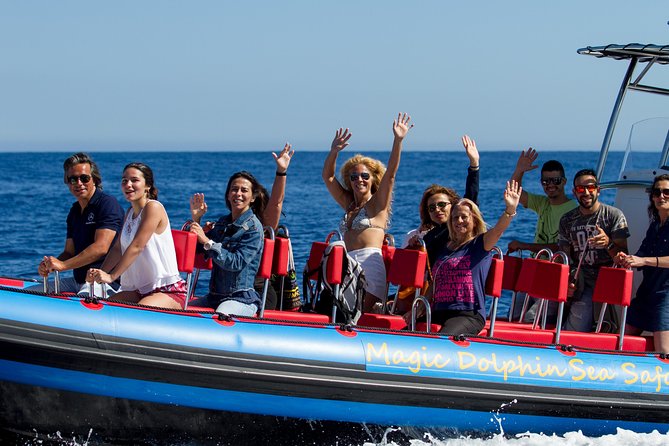 Magic Dolphin Sea Safaris - From Funchal Marina out to offshore Madeira, fast and built for sightings