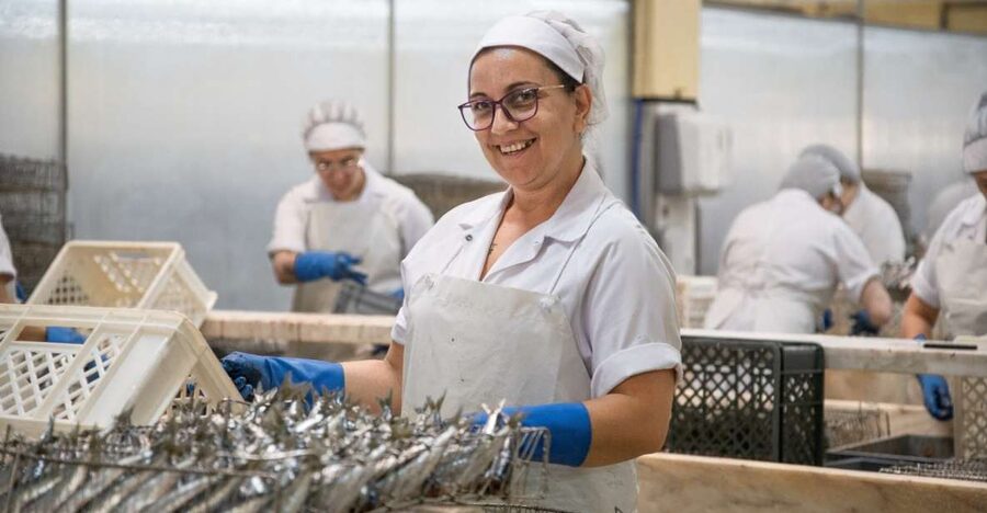 Matosinhos: Conservas Pinhais Factory Tour - Matosinhos sardine time inside a family cannery