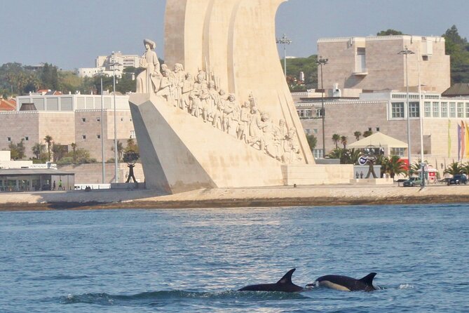 Meet the Lisbon Dolphins - Dolphin Watching in Lisbon - Sailing into the ocean when conditions allow