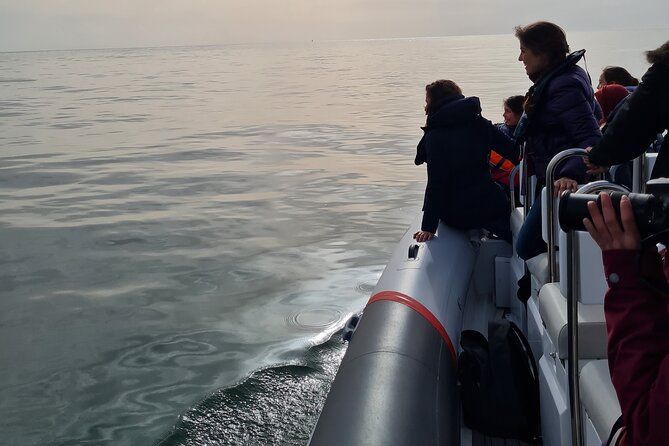Meet the Lisbon Dolphins - Dolphin Watching in Lisbon - What the captain and guide do if dolphins are not found