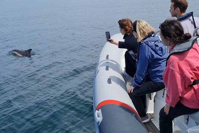 Meet the Lisbon Dolphins - Dolphin Watching in Lisbon - What to bring: the cold-water, sun, and splash checklist