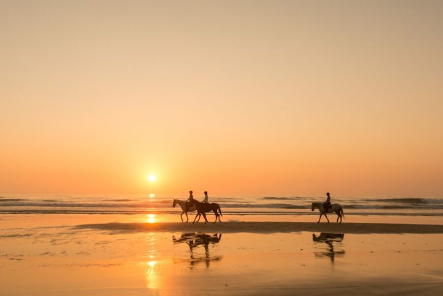 Melides: Horse Riding on the Beach with Wine Tasting - Key Points to Know Before You Go