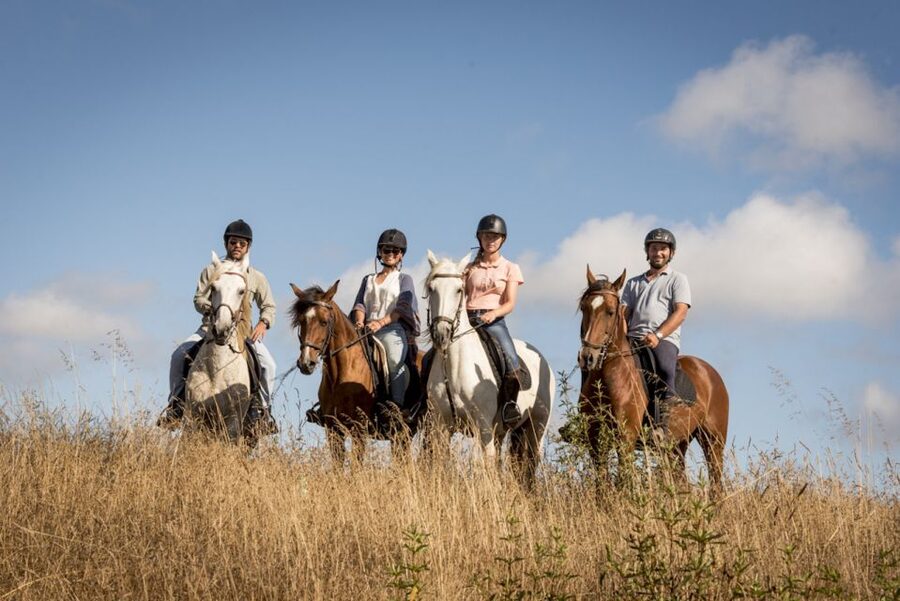 Melides: Horse Riding on the Beach with Wine Tasting - Wine Tasting Option: What It Promises and What to Confirm