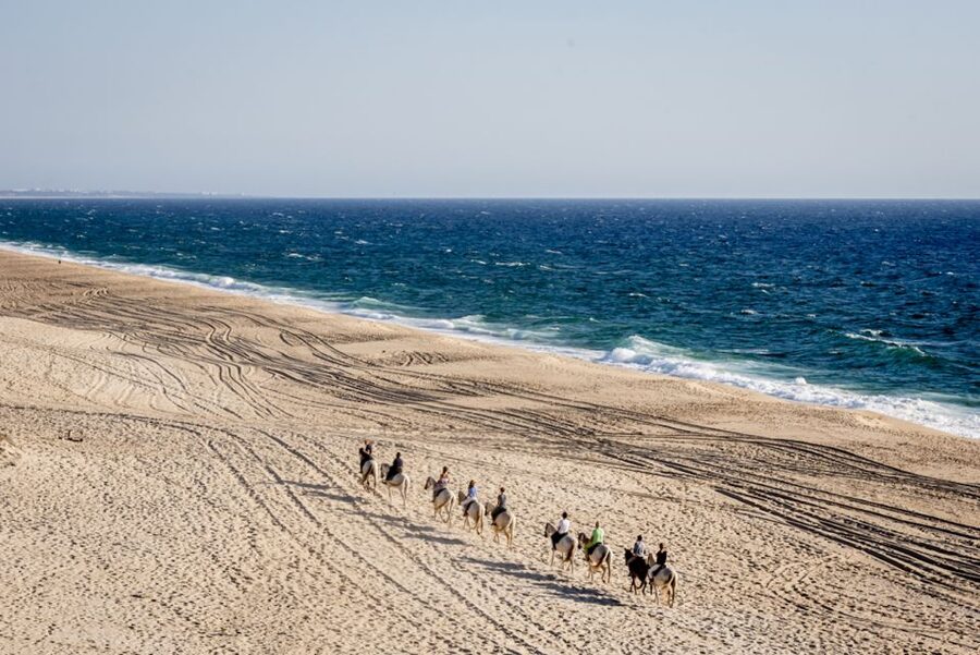 Melides: Horse Riding on the Beach with Wine Tasting - “No Experience Needed” But Still Dress Like You Mean It