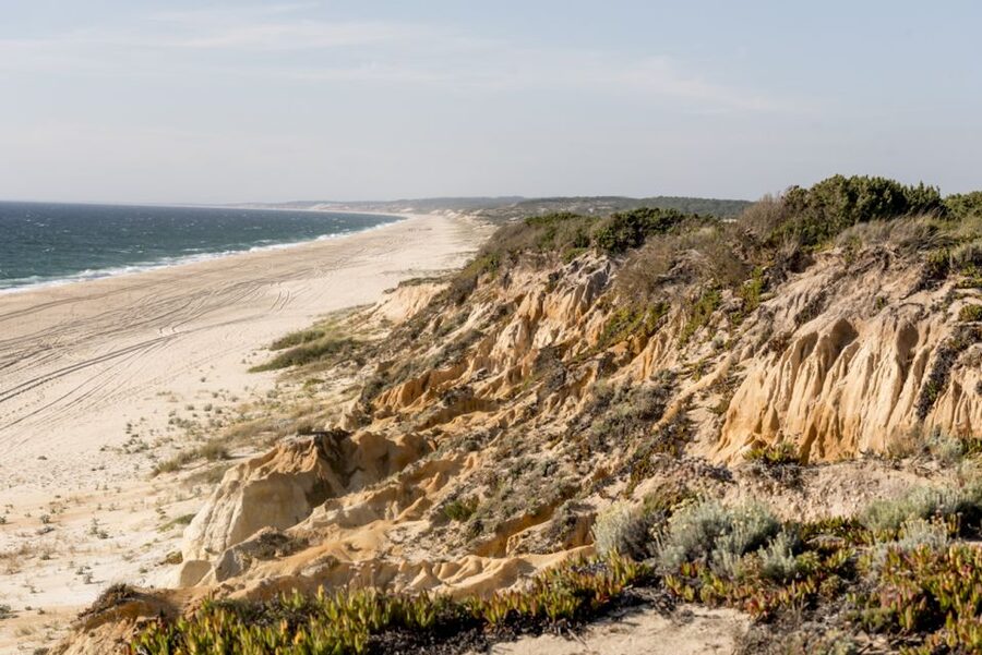 Melides: Horse Riding on the Beach with Wine Tasting - Timing and the 1.5-Hour Reality Check