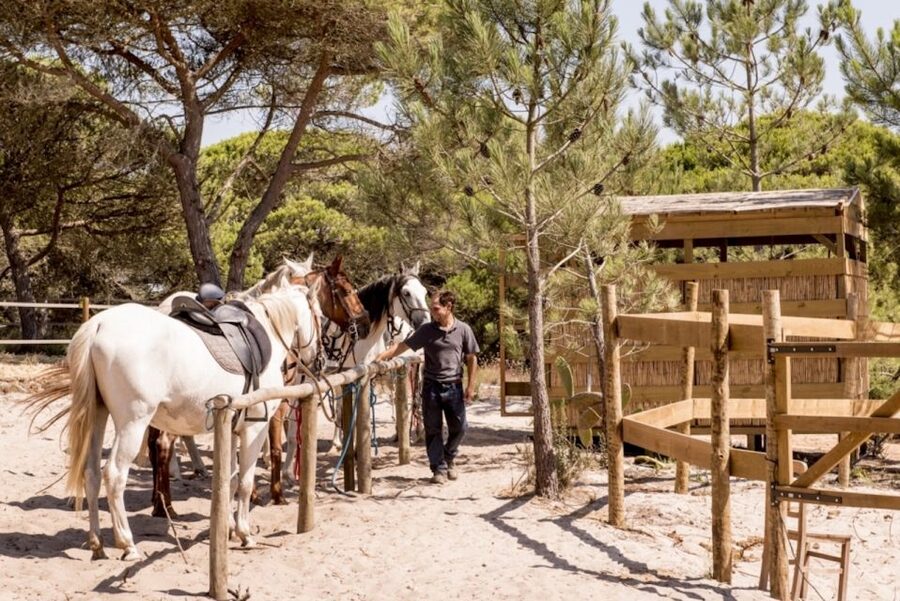 Melides: Horse Riding on the Beach with Wine Tasting - Coastal Flora, Fauna, and the Bird-Friendly Lagoon After the Beach
