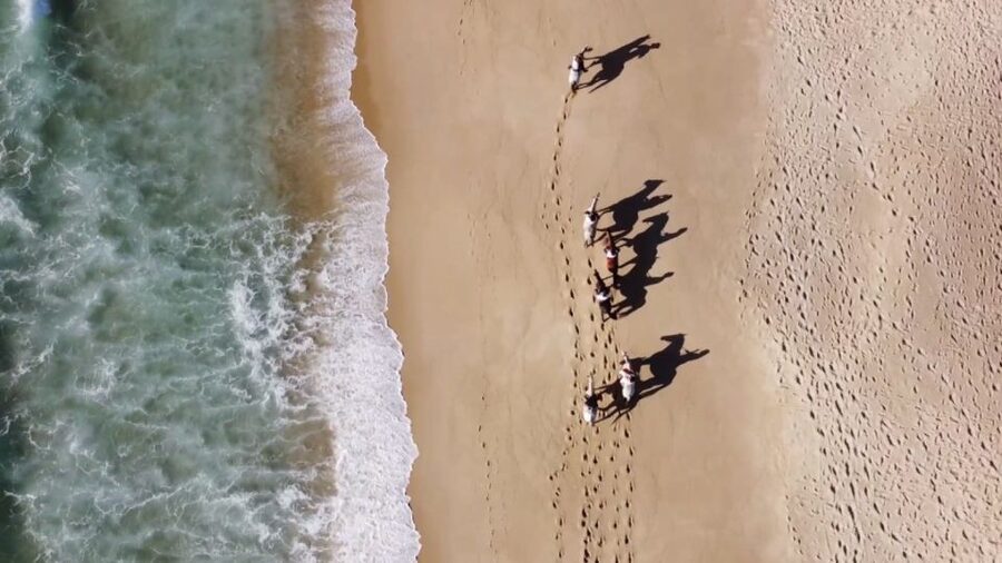 Melides: Horseback Riding on Melides Beach - Key highlights to know before you go