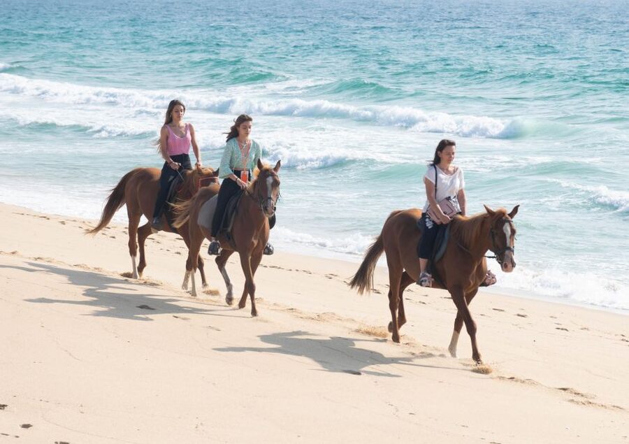 Melides: Horseback Riding on Melides Beach - Who should book this ride, and who might want to skip it