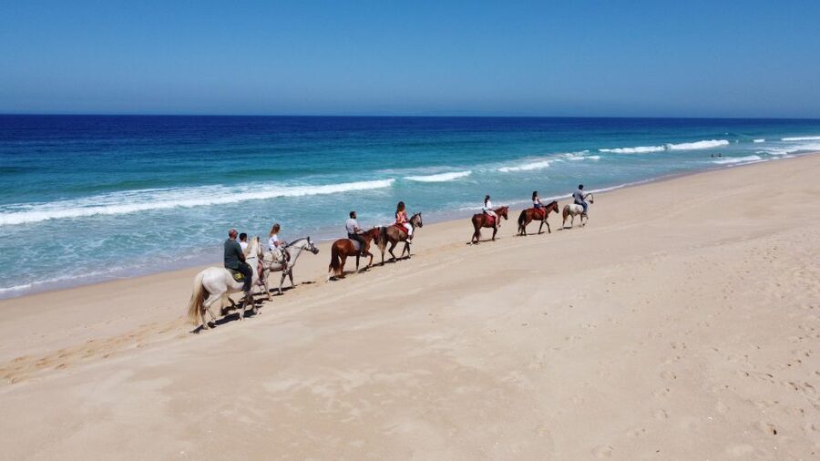 Melides: Horseback Riding on Melides Beach - Horses by the Beach meeting point: getting started without stress