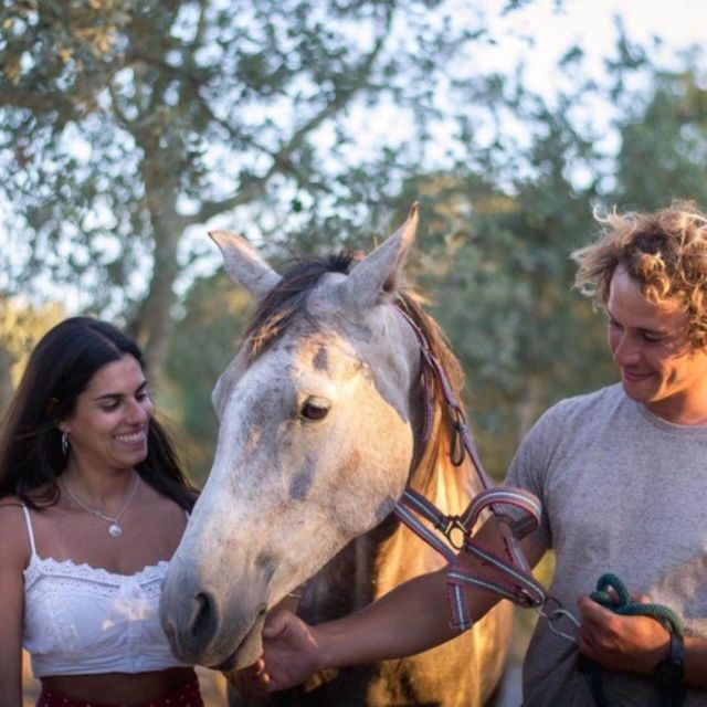 Melides: Horseback Riding on Melides Beach - The horses and safety vibe: calm mounts, real handling, and rider matching