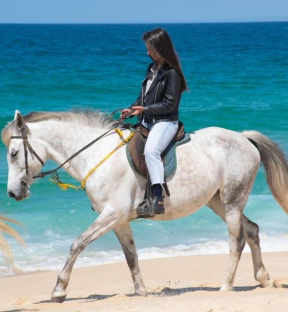 Melides: Horseback Riding on Melides Beach - When and why you should time your ride for better moments
