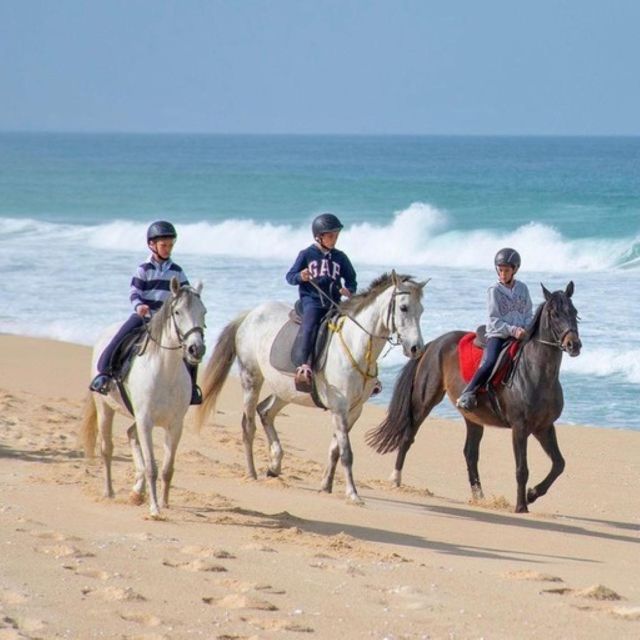 Melides: Horseback Riding on Melides Beach - Price and value: why 76 per person can make sense here