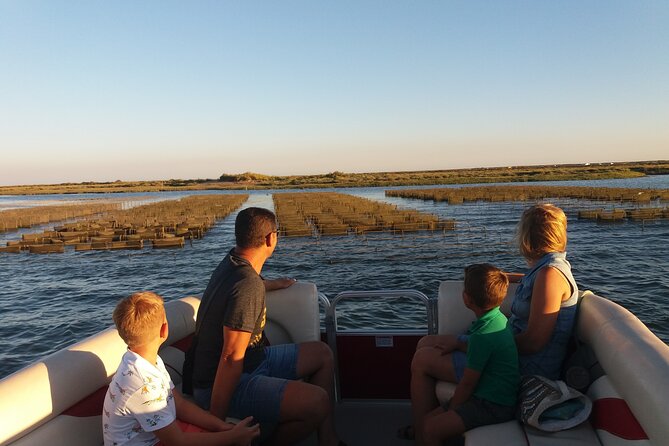 Nature Catamaran Tour from Faro - On Board Experience: Small group, live commentary, and what to expect