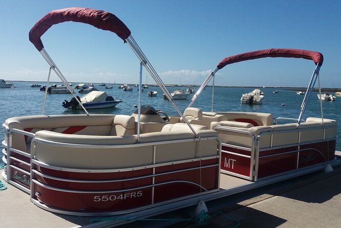 Nature Catamaran Tour from Faro - Value for $31.87: What you’re really paying for
