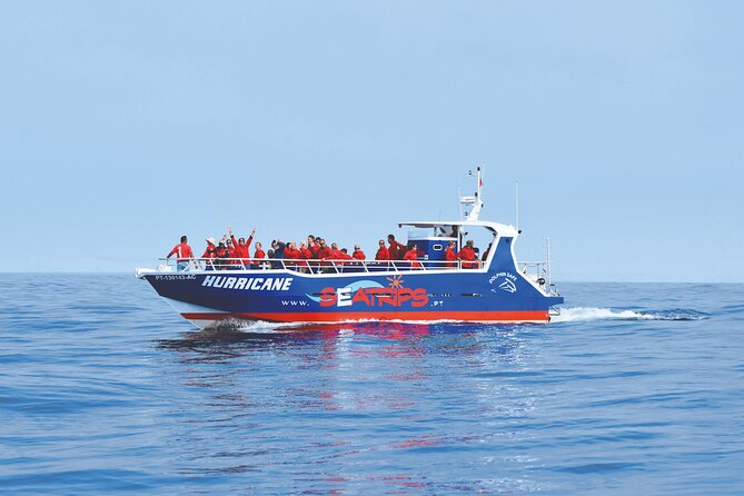 NEW Lagos-Watching Dolphins and Benagil Cave with Biologists - Key things I’d circle before you book