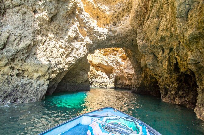 NEW Lagos-Watching Dolphins and Benagil Cave with Biologists - How much it costs, and what makes it worth it