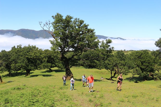 Northwest Terraces and Volcanic Pools 4x4 Full Day Tour - Sao Vicente, Ginjas, and the north coast rhythm