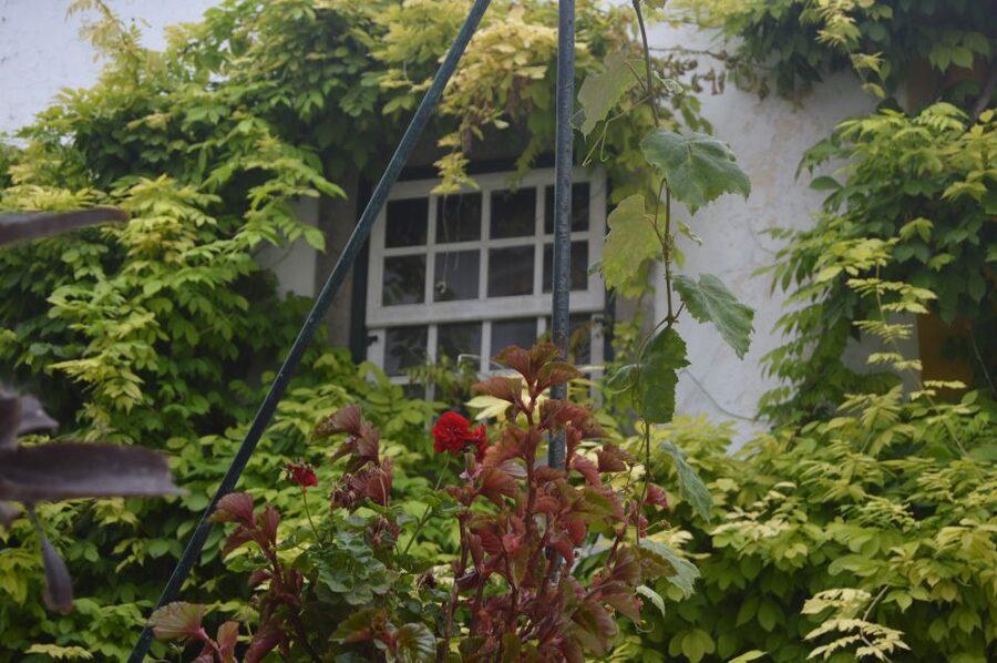 Óbidos: Medieval Tales & Secrets Spots Guided Walking Tour - The ginjinha tasting, chocolate cup and all