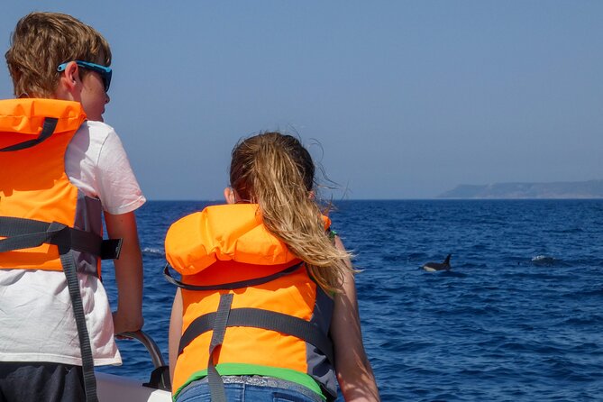 Observation of Dolphins and Whales with Marine Biologist in Arrábida - Boat logistics and group size: what it feels like on board