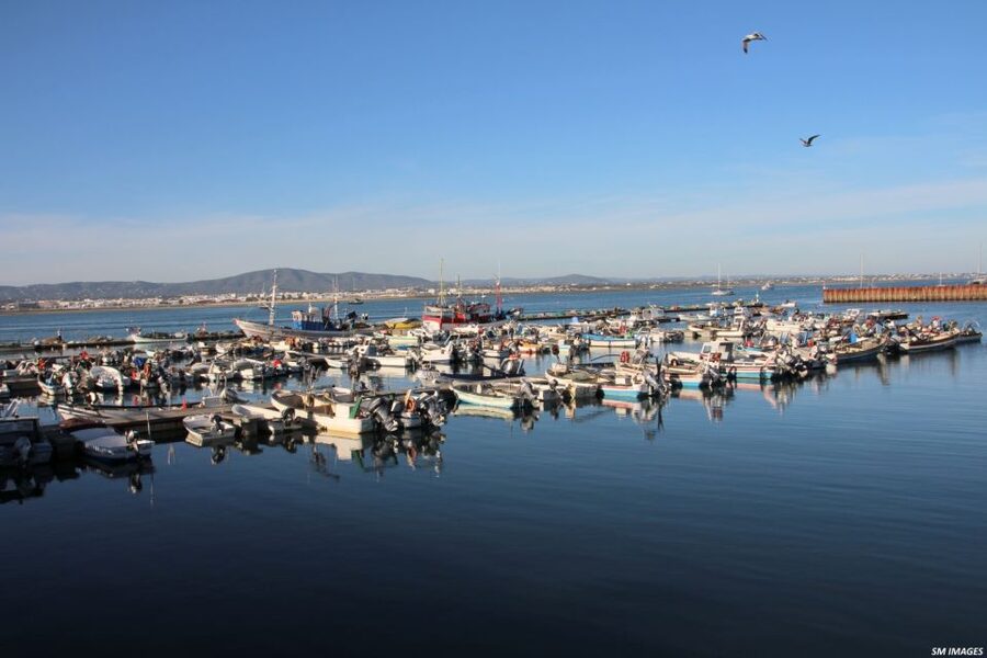 Olhão: 3 Islands Guided Sightseeing Tour with Lunch - Practical packing and clothing for docks, spray, and island walking