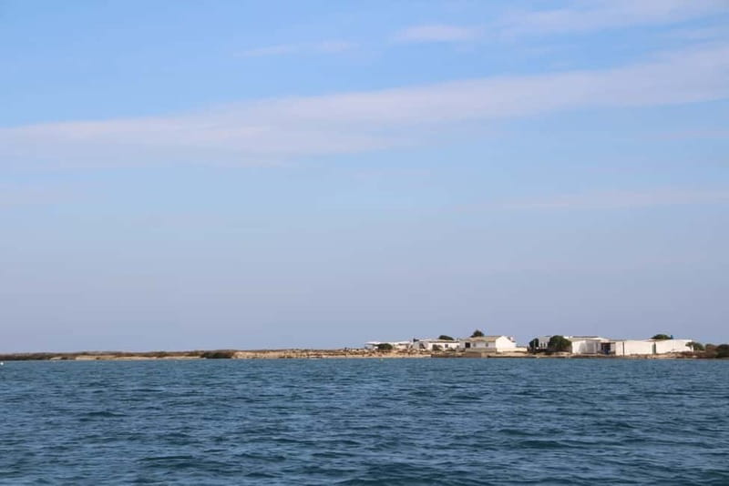Olhão: Ria Formosa 3 Islands Guided Day Trip by Boat - Culatra Island: the guided fishing village walk is the main event