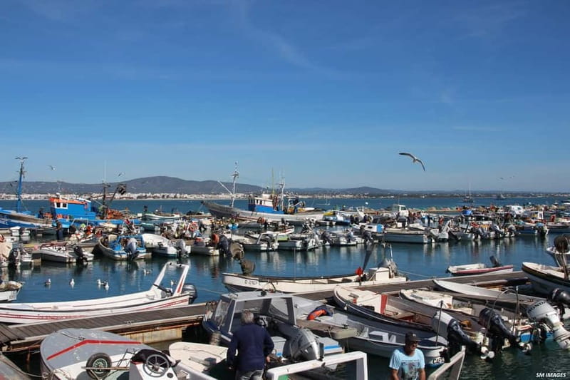 Olhão: Ria Formosa 3 Islands Guided Day Trip by Boat - Price and value: is $40 a good deal for this lagoon day?