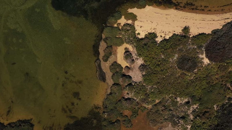 Olhão: Ria Formosa National Park Boat Cruise - What to bring, so the 3 hours feel comfortable
