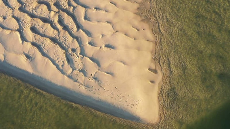 Olhão: Ria Formosa National Park Boat Cruise - Armona Island stop: beach time and island snacks