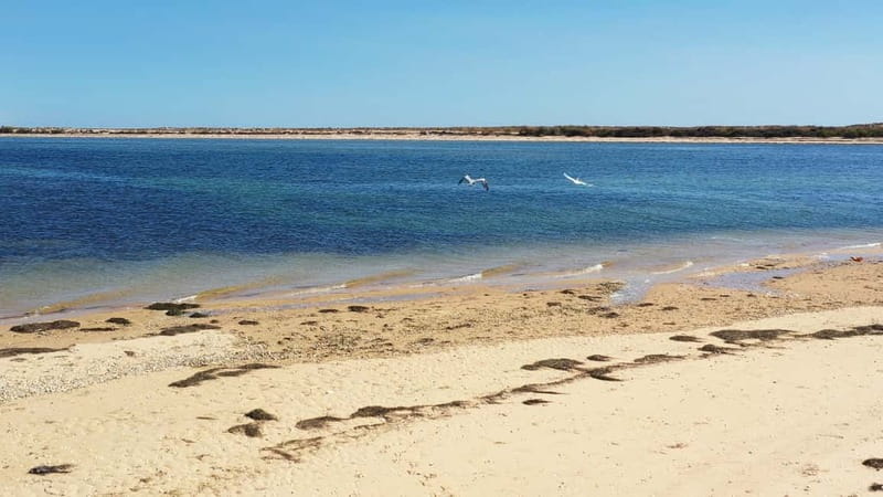 Olhão: Ria Formosa National Park Boat Cruise - Culatra Island: fisherman island life and free time