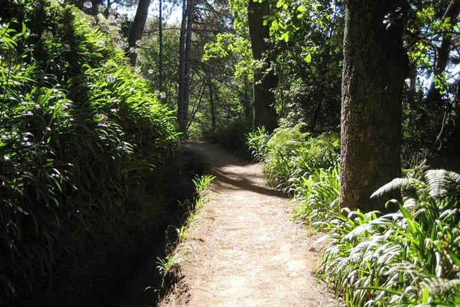 Paradise Valley - Levada Walk - Key highlights I’d bet you’ll care about