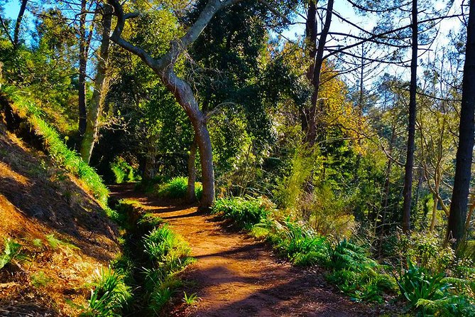 Paradise Valley - Levada Walk - Easy walking: 5.5 km that stays gentle