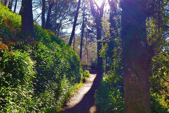 Paradise Valley - Levada Walk - Viewpoints toward Funchal and Camacha