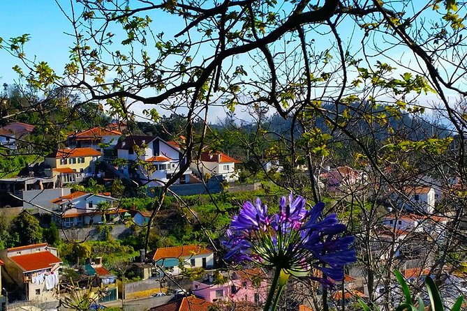 Paradise Valley - Levada Walk - The Camacha finish: culture after nature