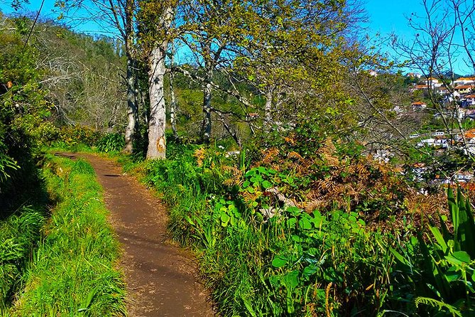 Paradise Valley - Levada Walk - Price and value: what $39.54 buys you (and why it’s not just the hike)