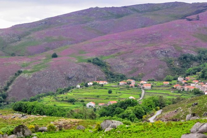 Peneda-Gerês Hiking & Sightseeing: Private Experience - Pickup, transport, and timing that keep the day easy